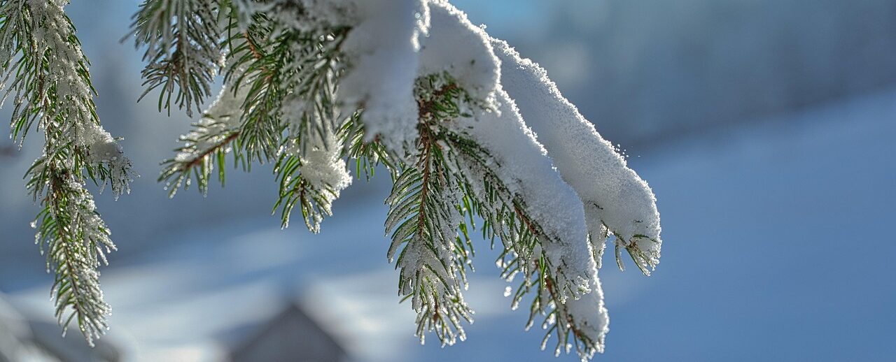 Kokoomuksen tapahtumat